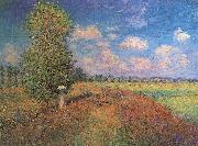 Claude Monet Sommer. Klatschmohnfeld USA oil painting artist